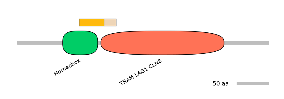 HsaINT0090839-EXC