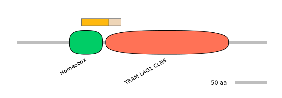 HsaINT0090846-EXC