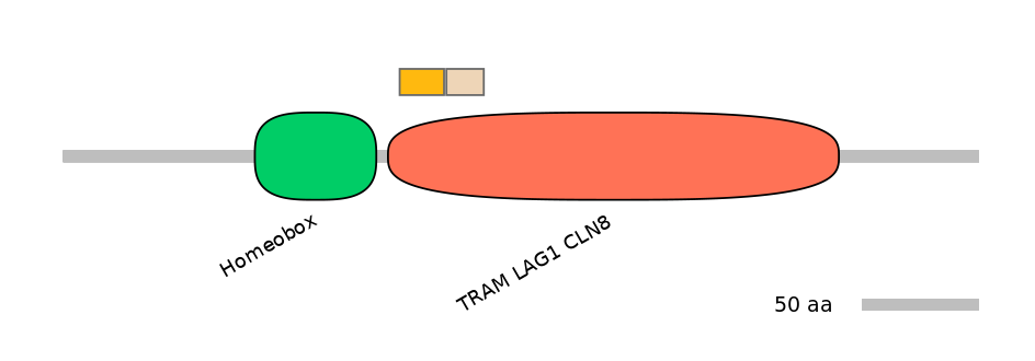 HsaINT0090847-EXC