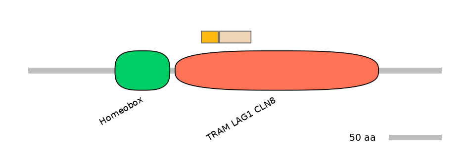 HsaINT0090848-EXC