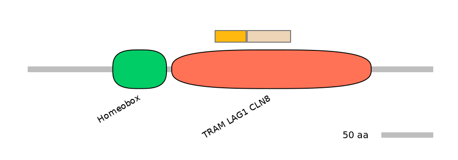 HsaINT0090849-EXC