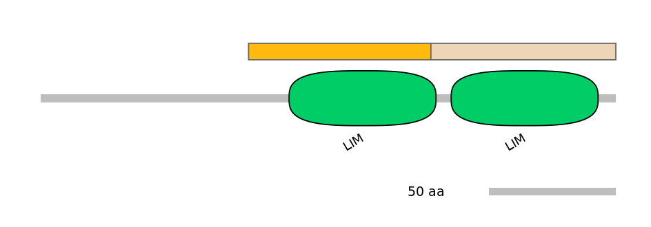 HsaINT0092510-EXC