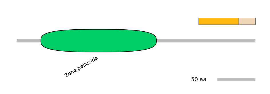 HsaINT0094987-EXC