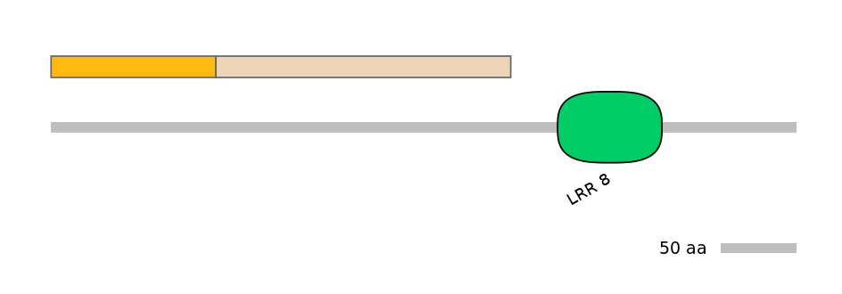 HsaINT0096637-EXC