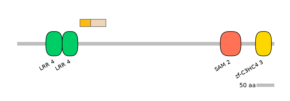 HsaINT0097303-EXC