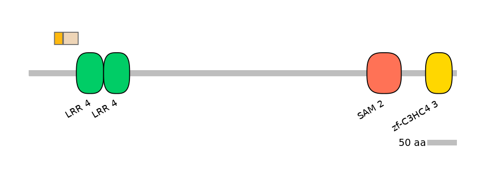 HsaINT0097322-EXC