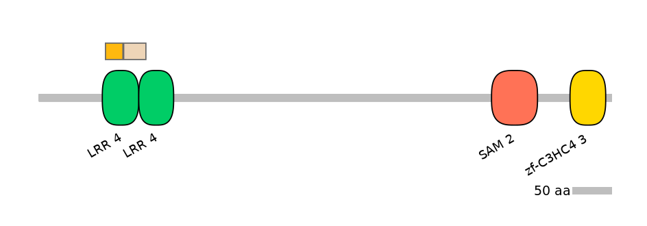 HsaINT0097324-EXC