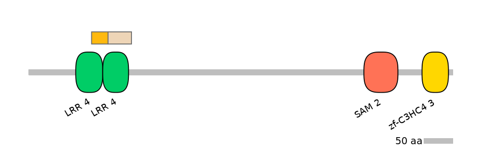 HsaINT0097325-EXC