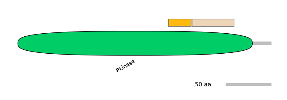 HsaINT0099005-EXC