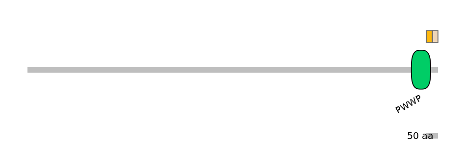 HsaINT0100393-EXC