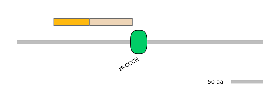 HsaINT0100436-EXC