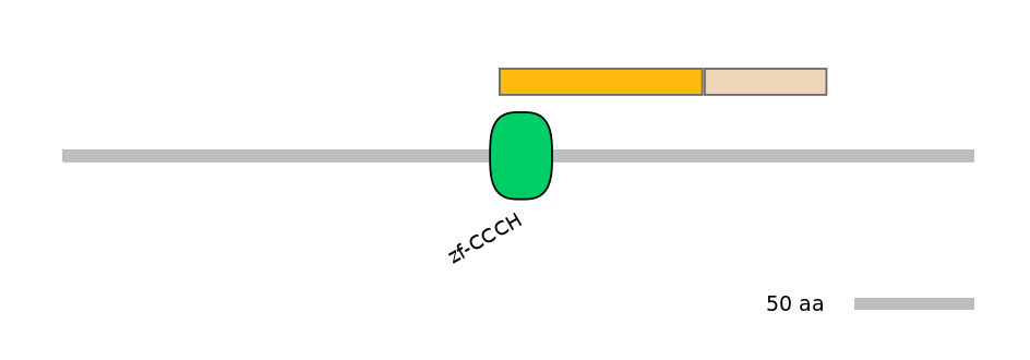 HsaINT0100437-EXC