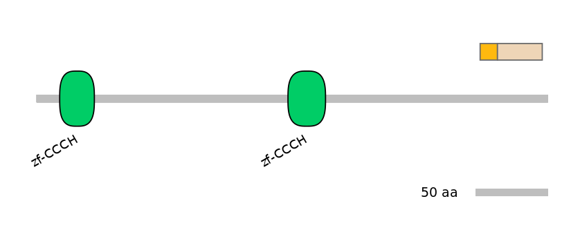 HsaINT0100458-EXC