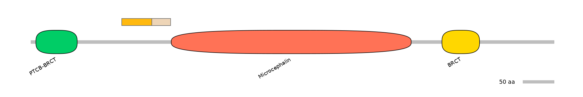 HsaINT0100952-EXC