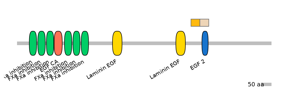 HsaINT0101828-EXC