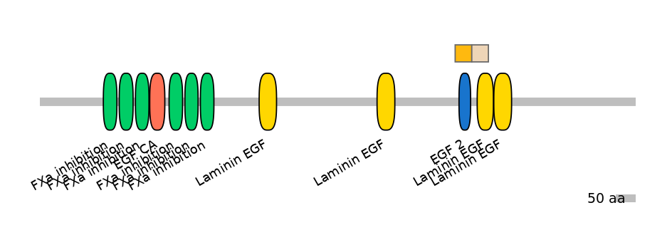 HsaINT0101831-EXC