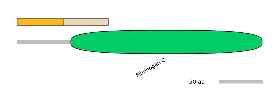 HsaINT0102271-EXC