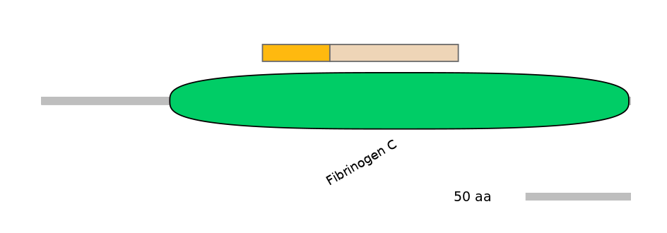 HsaINT0102273-EXC