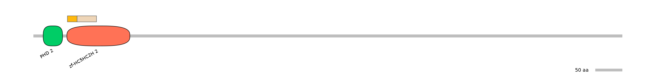 HsaINT0103737-EXC