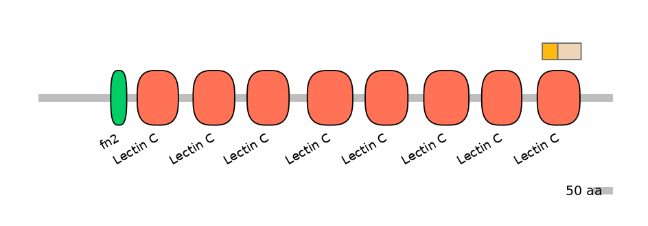 HsaINT0104966-EXC