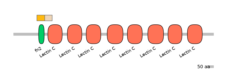 HsaINT0104969-EXC