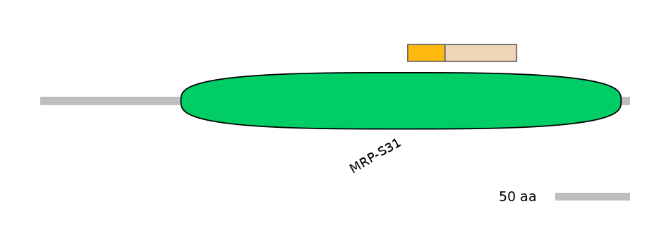 HsaINT0105325-EXC