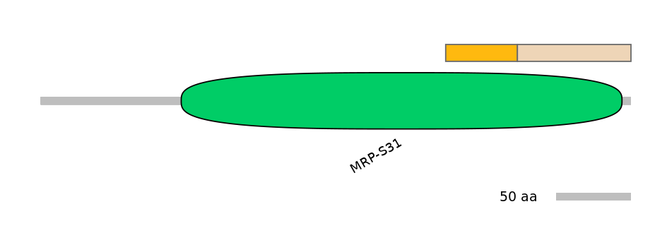 HsaINT0105326-EXC