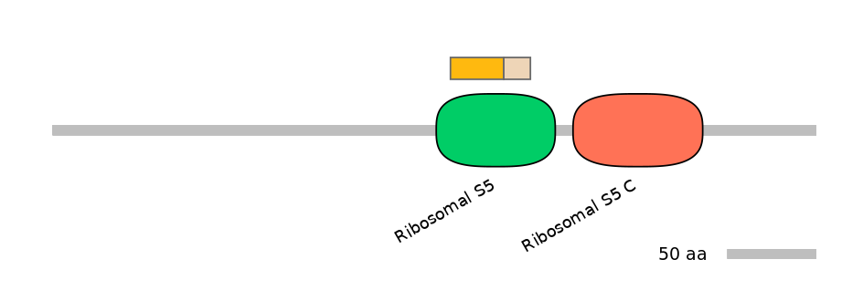HsaINT0105351-EXC