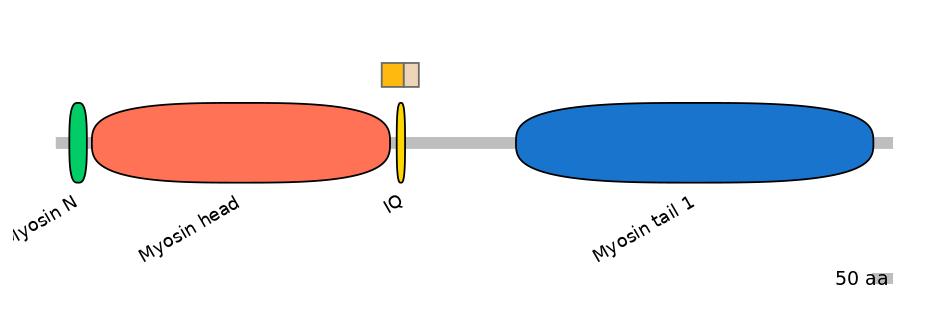 HsaINT0107468-EXC