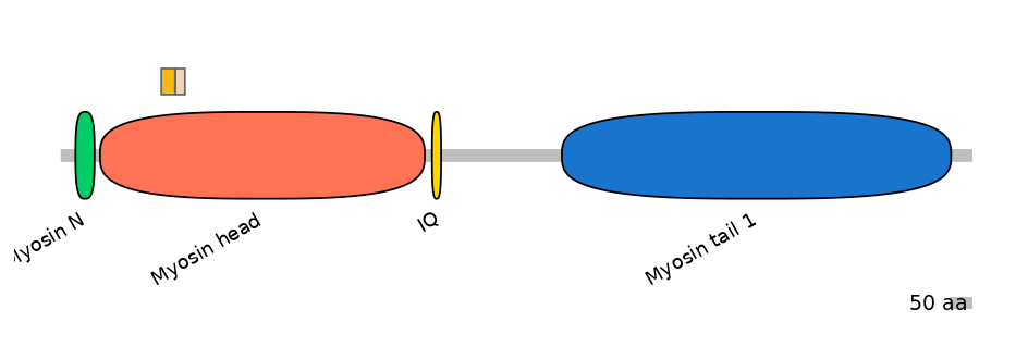 HsaINT0107494-EXC