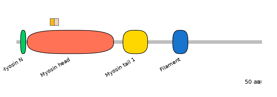 HsaINT0107799-EXC