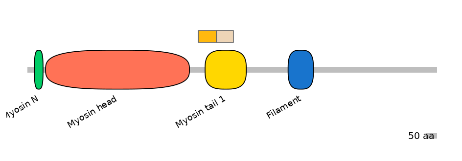 HsaINT0107811-EXC
