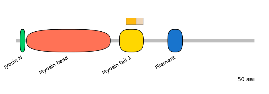 HsaINT0107812-EXC