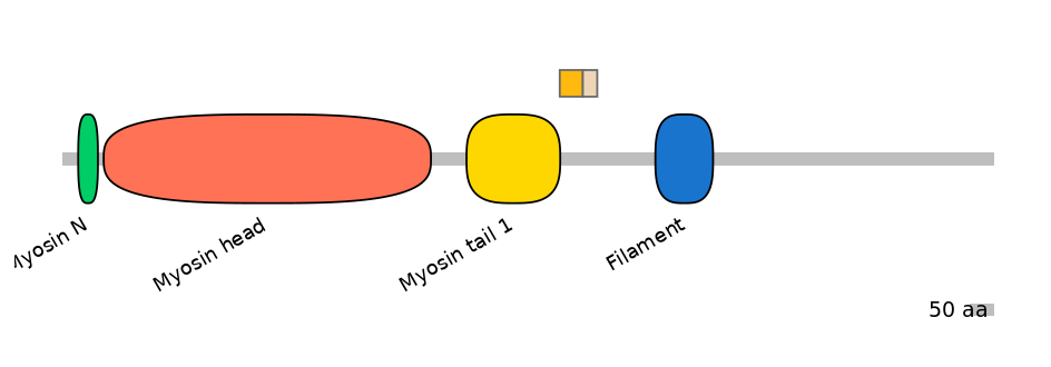 HsaINT0107814-EXC