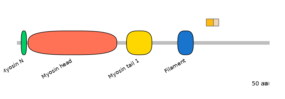 HsaINT0107822-EXC