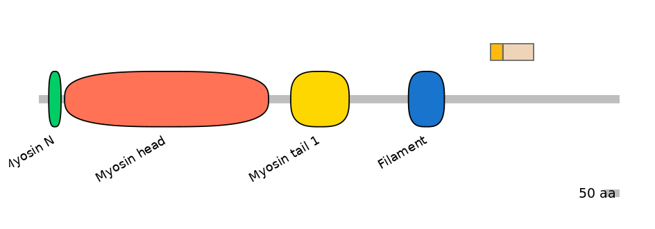 HsaINT0107823-EXC