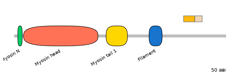 HsaINT0107824-EXC