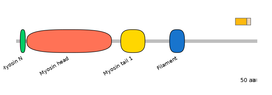 HsaINT0107827-EXC