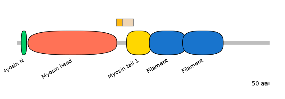 HsaINT0107849-EXC