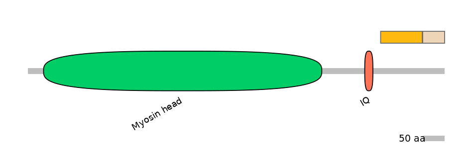 HsaINT0108456-EXC