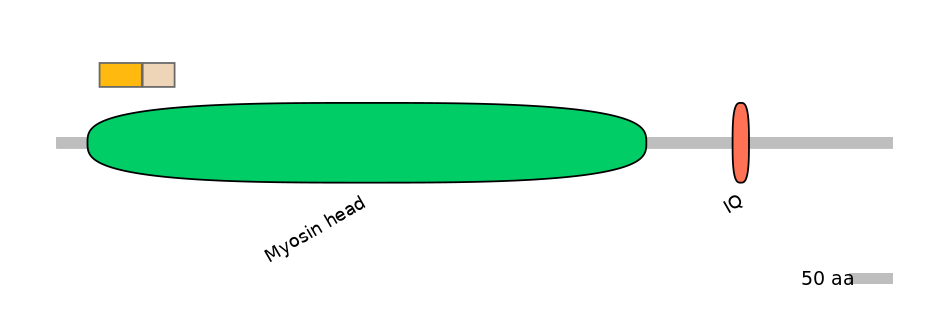 HsaINT0108460-EXC