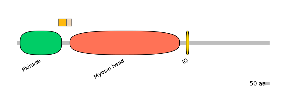 HsaINT0108682-EXC