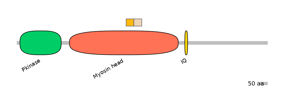 HsaINT0108693-EXC
