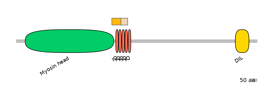 HsaINT0108762-EXC