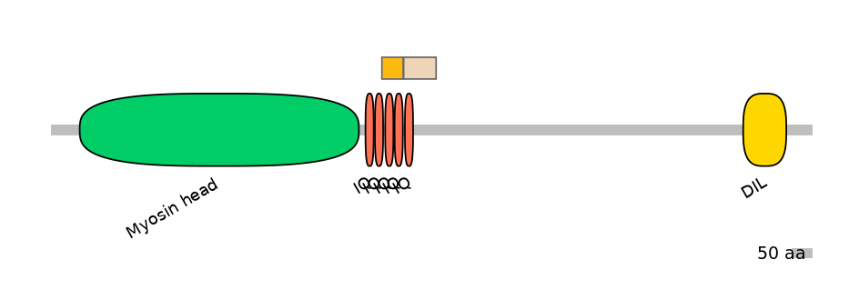 HsaINT0108764-EXC