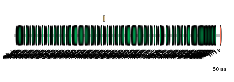 HsaINT0112216-EXC