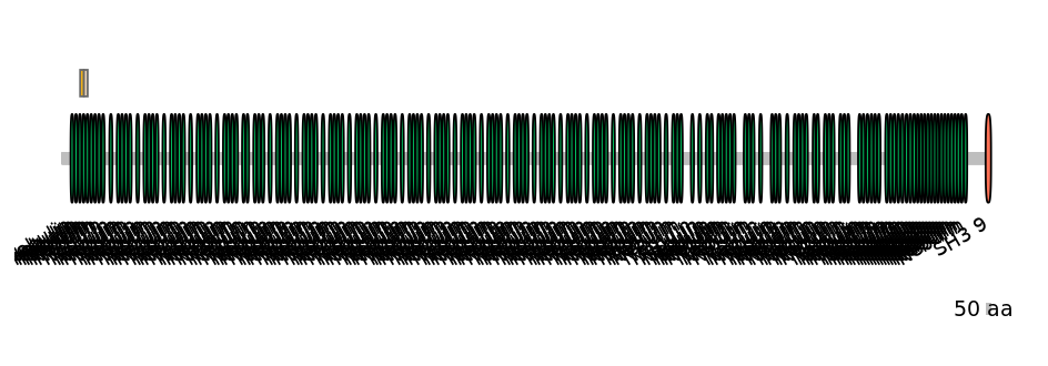 HsaINT0112221-EXC