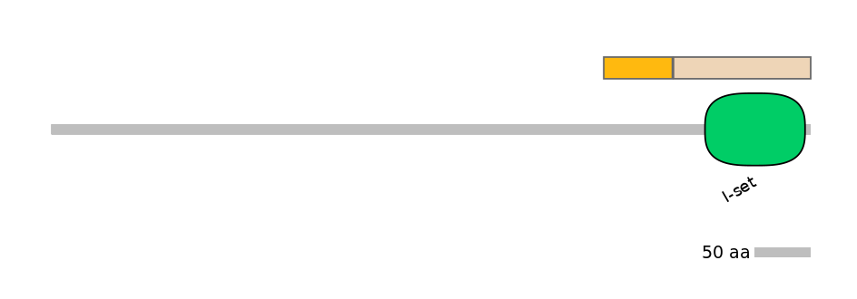 HsaINT0112844-EXC