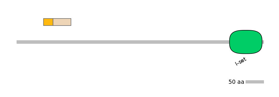 HsaINT0112846-EXC