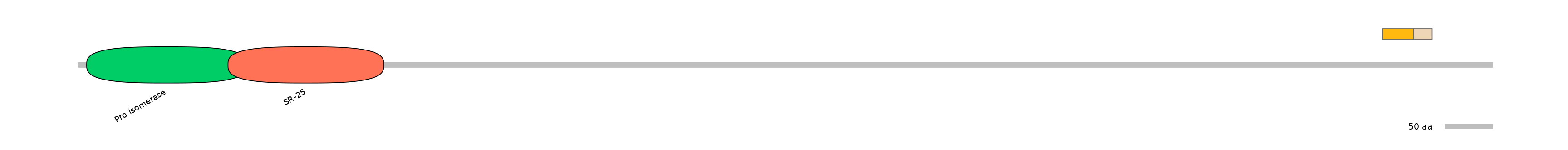 HsaINT0113804-EXC